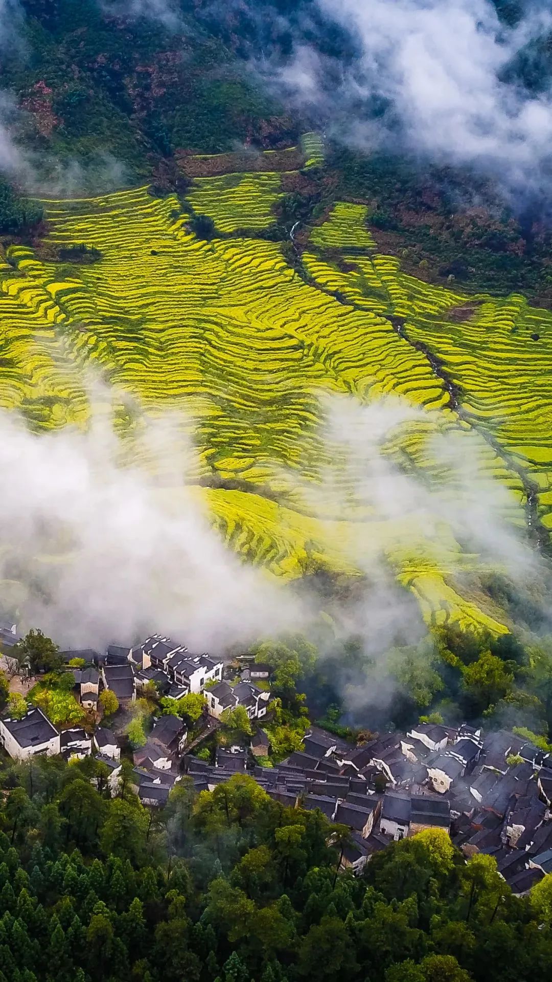 江西，地理、历史与文化的探索之旅