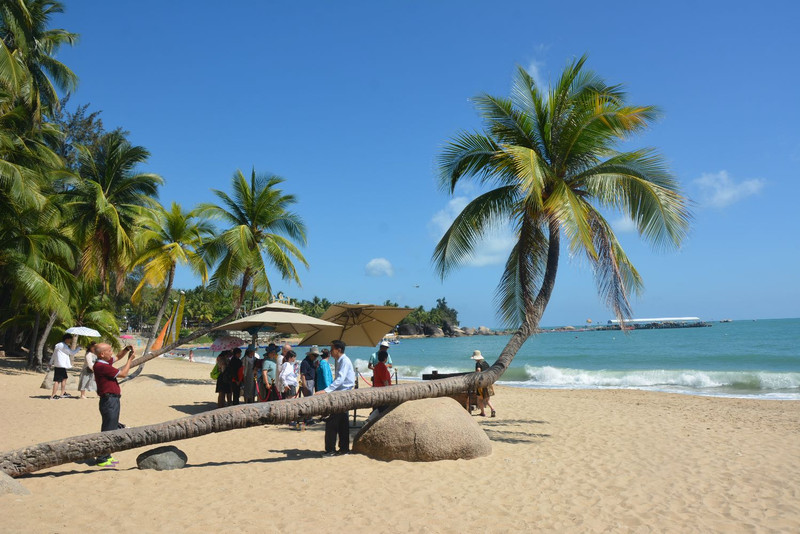 海南，热带天堂的绿色崛起之路